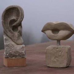 Modelle für das Ohr und den Mund
