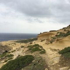 Die Kalkküste Gozos als wilde Landschaft