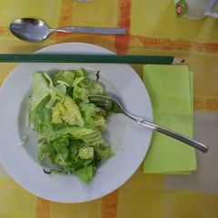 Am Sonntag: Grüner Salat mit Kraut als Vorspeise