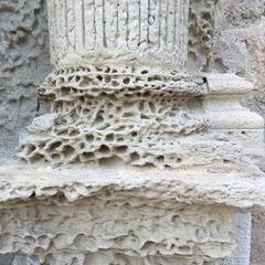 Steinfraß, in Apulien auch Karies genannt, an einer Säulenbasis der Kathedrale.