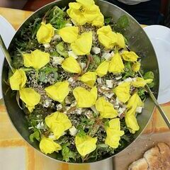 Runde Formen in Stein und Blüte. Inspirationen lauern überall ;-)