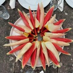 Melonenaufgang zu Christines vegetarischer K&uuml;che